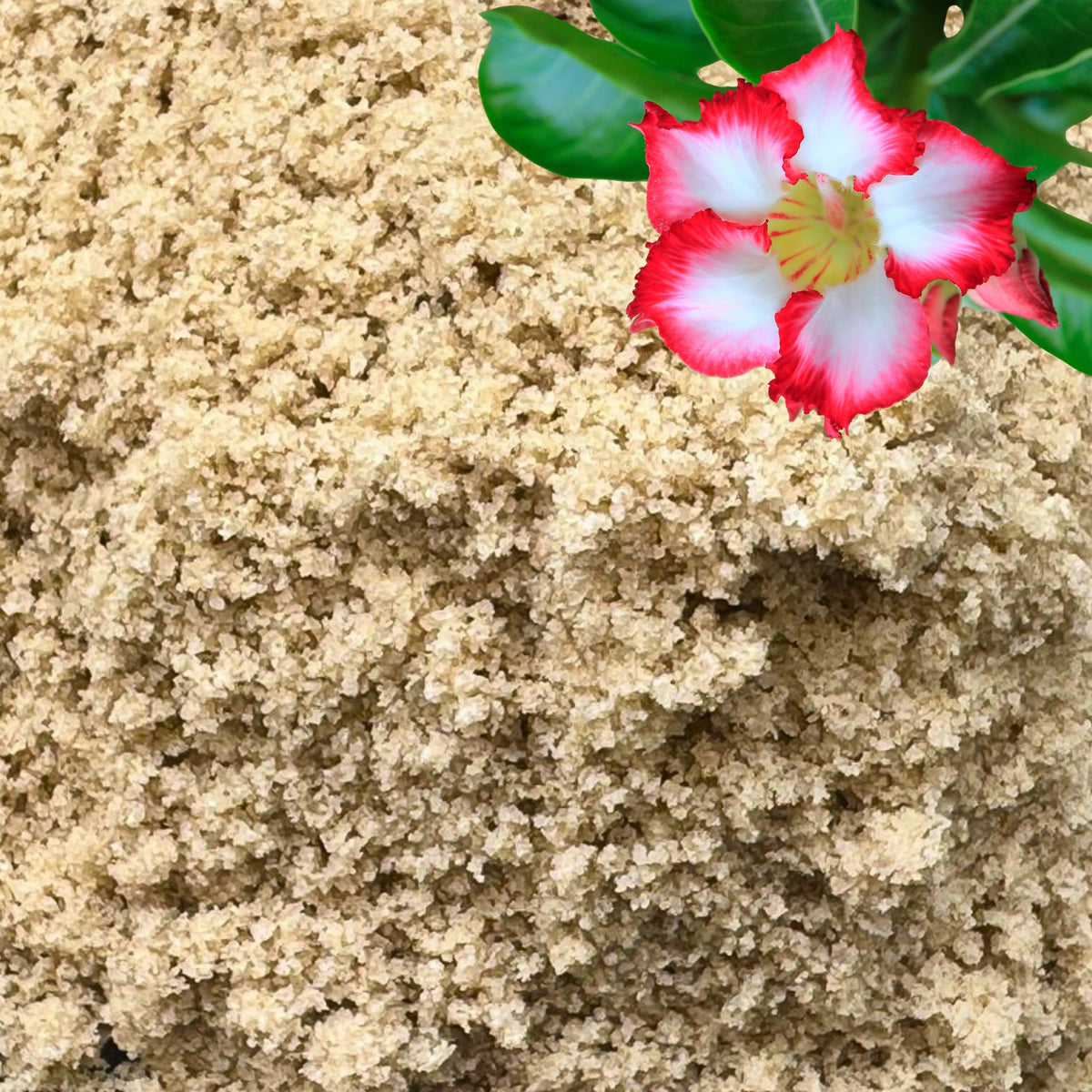GARDENWISE arena para plantas: mejora la aireación en mezcla para macetas