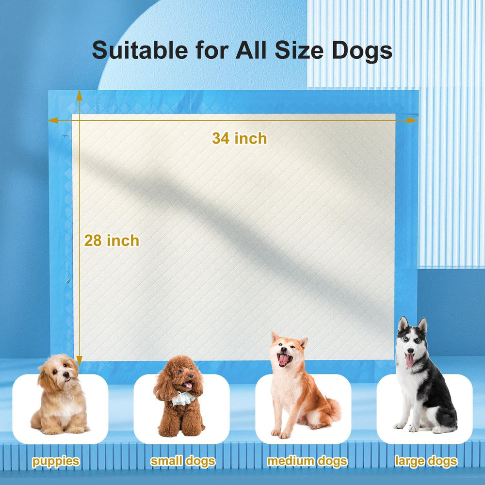 Gardner Pet almohadilla-absorvente-doble-borde ofrece protección frente a derrames.