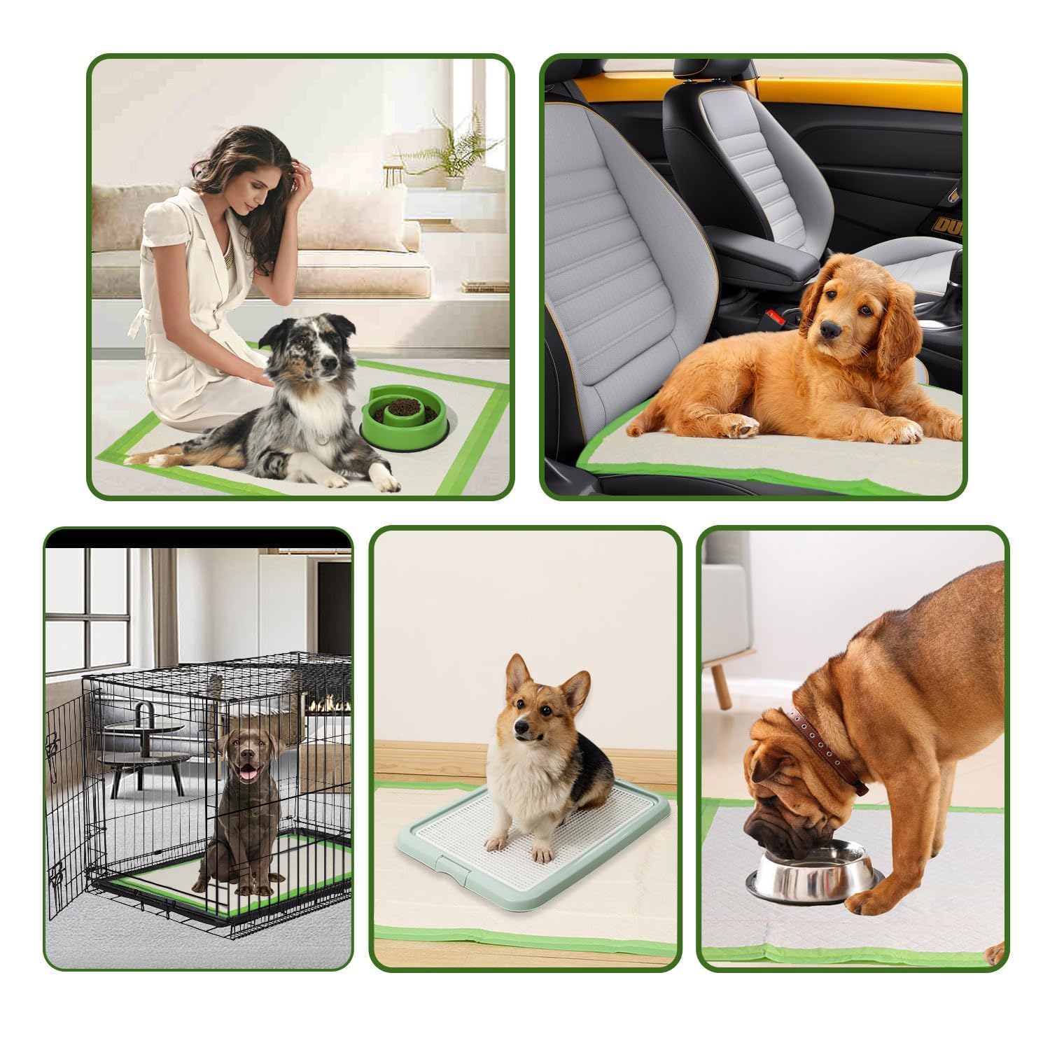 Gardner Pet juego de 50 piezas desechables para entrenamiento continuo
