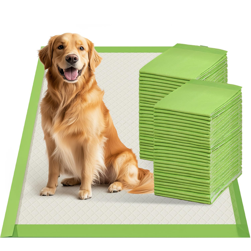 Gardner Pet almohadillas de entrenamiento, frontal, protegen suelos y facilitan el adiestramiento.