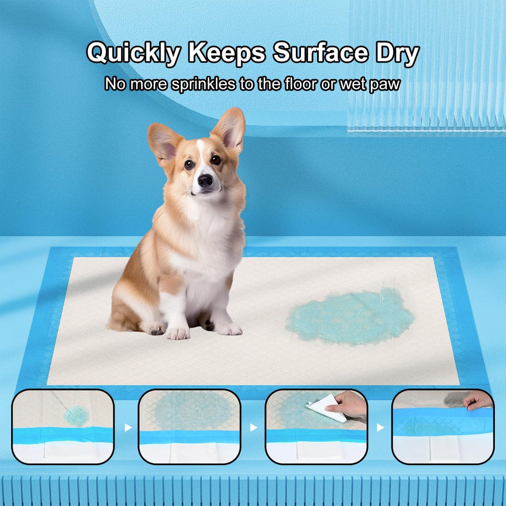 Gardner Pet protección continua todo el día para hogares con varias mascotas
