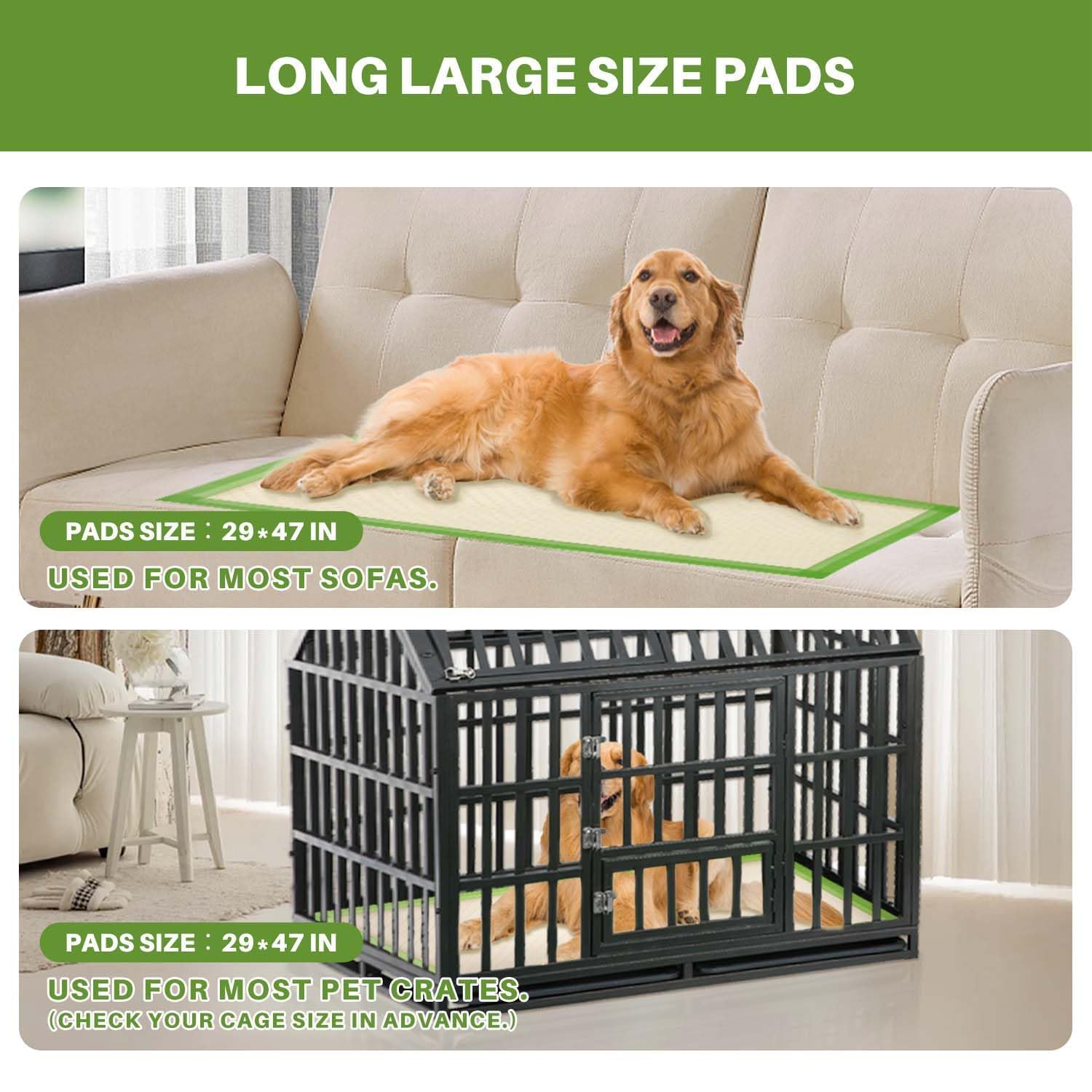 Gardner Pet núcleo de polímeros ECO alta absorción