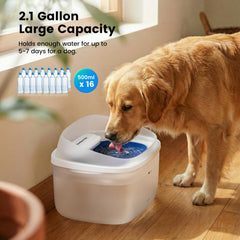 Gardner Pet flujo vortex para mantener el agua oxigenada y atractiva para beber.