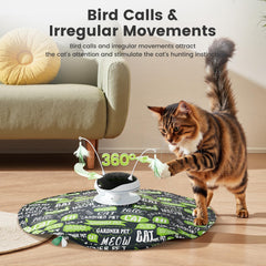 Gardner Pet pista de bolas para ejercicio interior
