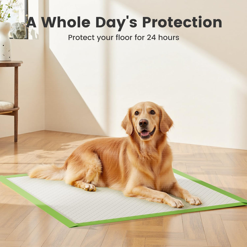 Gardner Pet pad membrana impermeable evita filtraciones al piso.