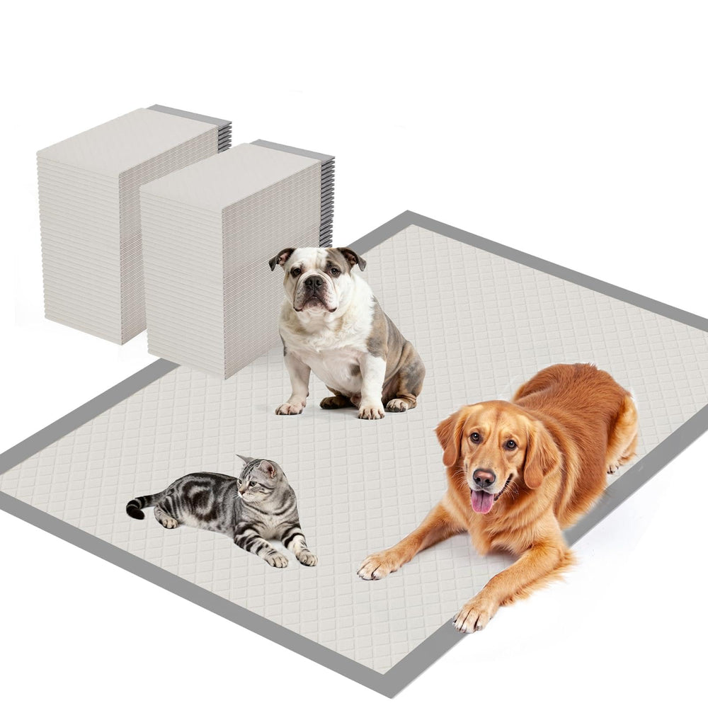 Gardner Pet pads extragrande 37x54 en uso ofrecen cobertura amplia.