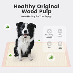 Gardner Pet pads XL núcleo de 6 capas para alta absorción.