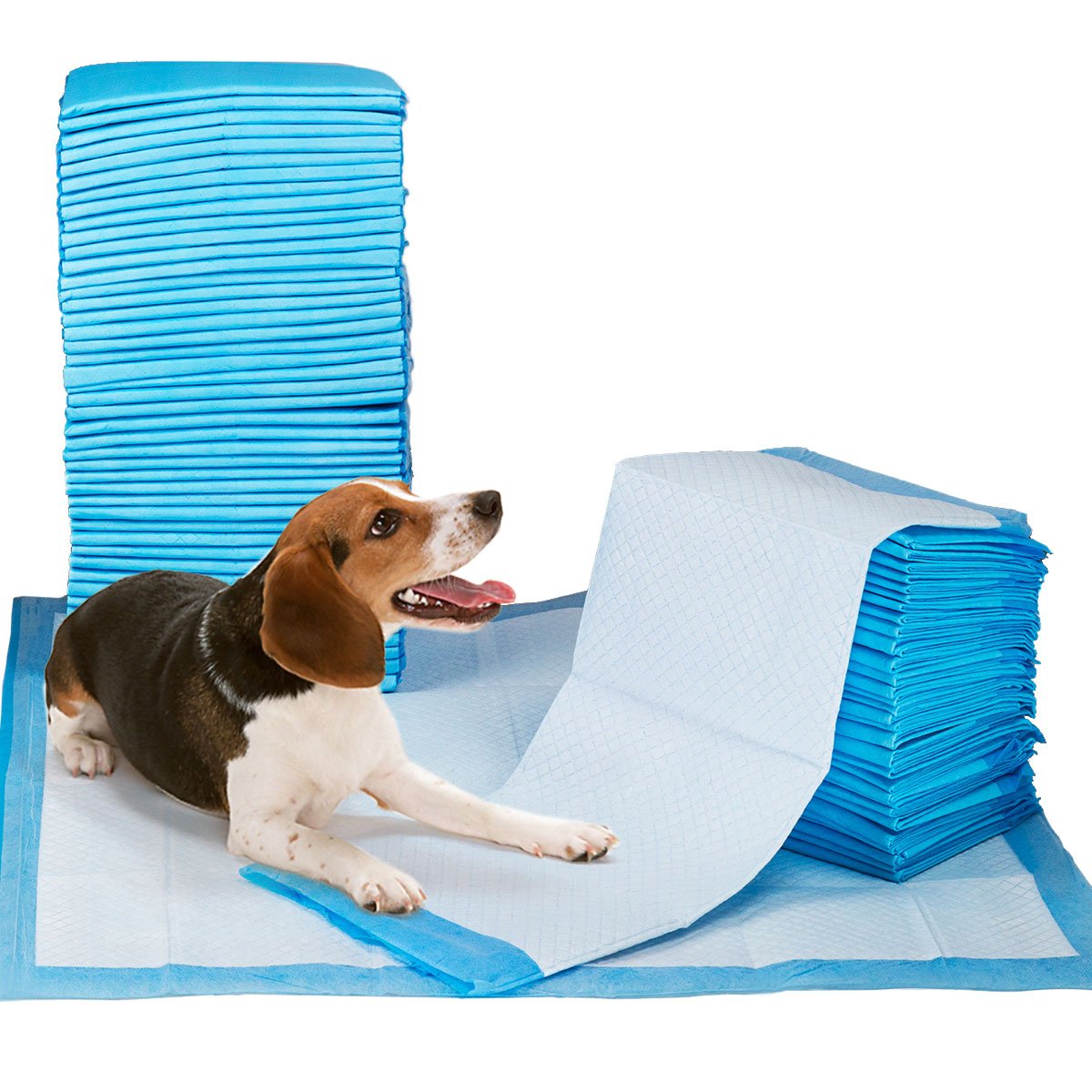 Gardner Pet Petfamily paquete grande para múltiples áreas del hogar