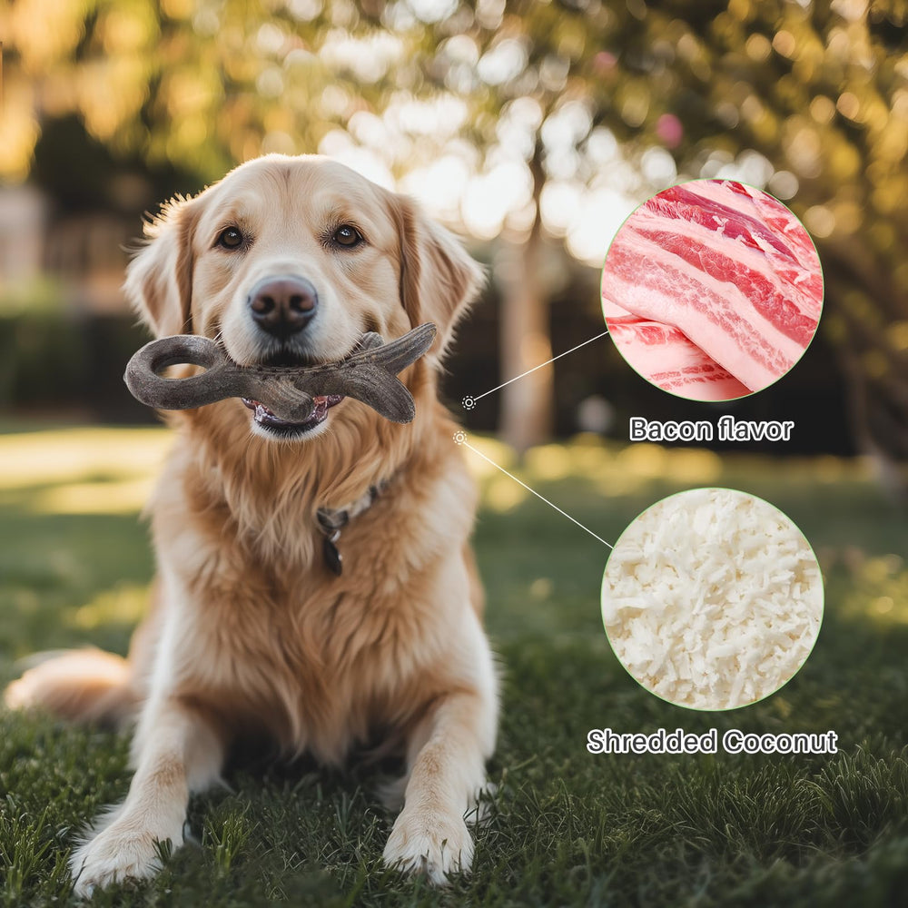 Gardner Pet sabor tocino que incentiva la masticación con gusto.