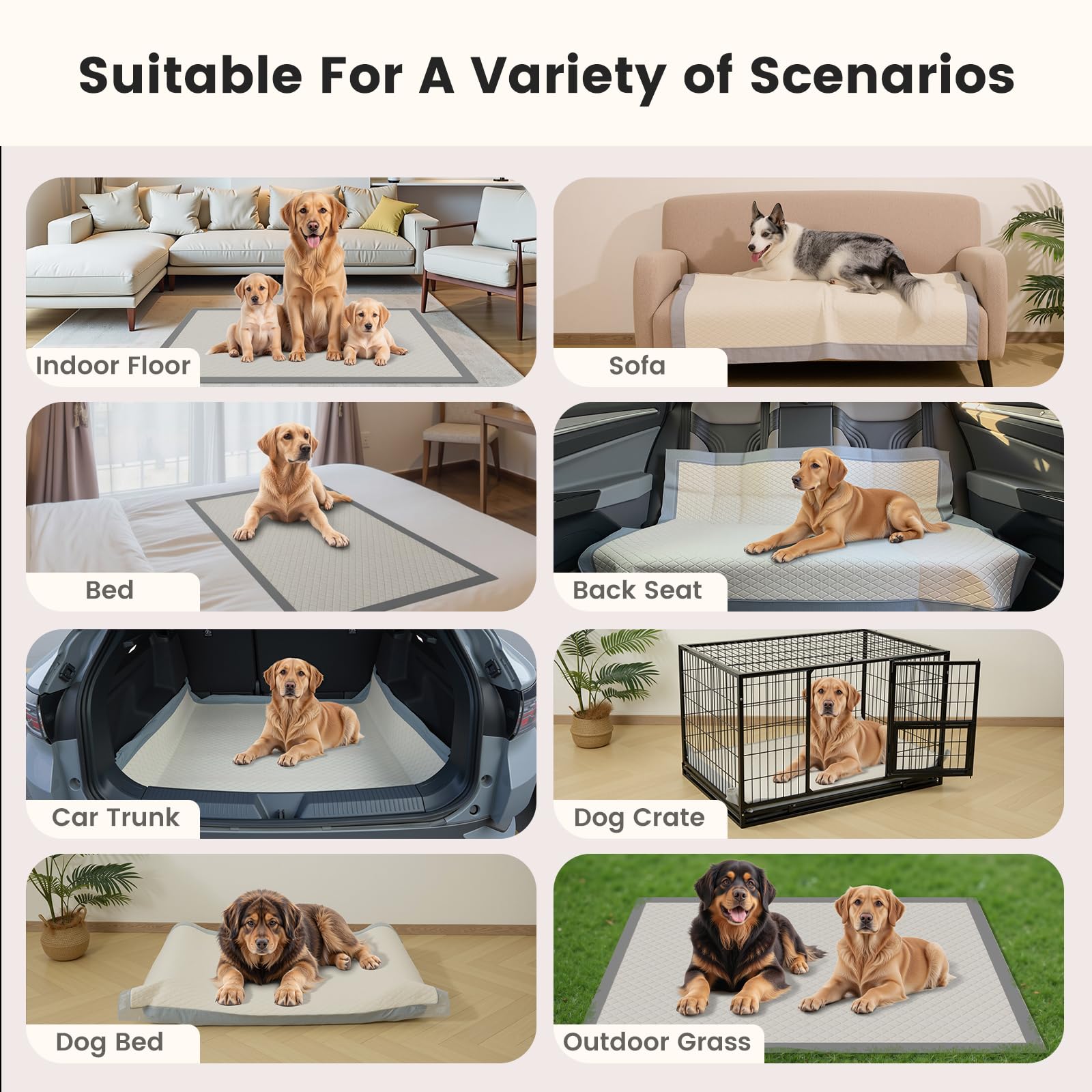 Gardner Pet usos múltiples, ideal para entrenamiento, perros y gatos.