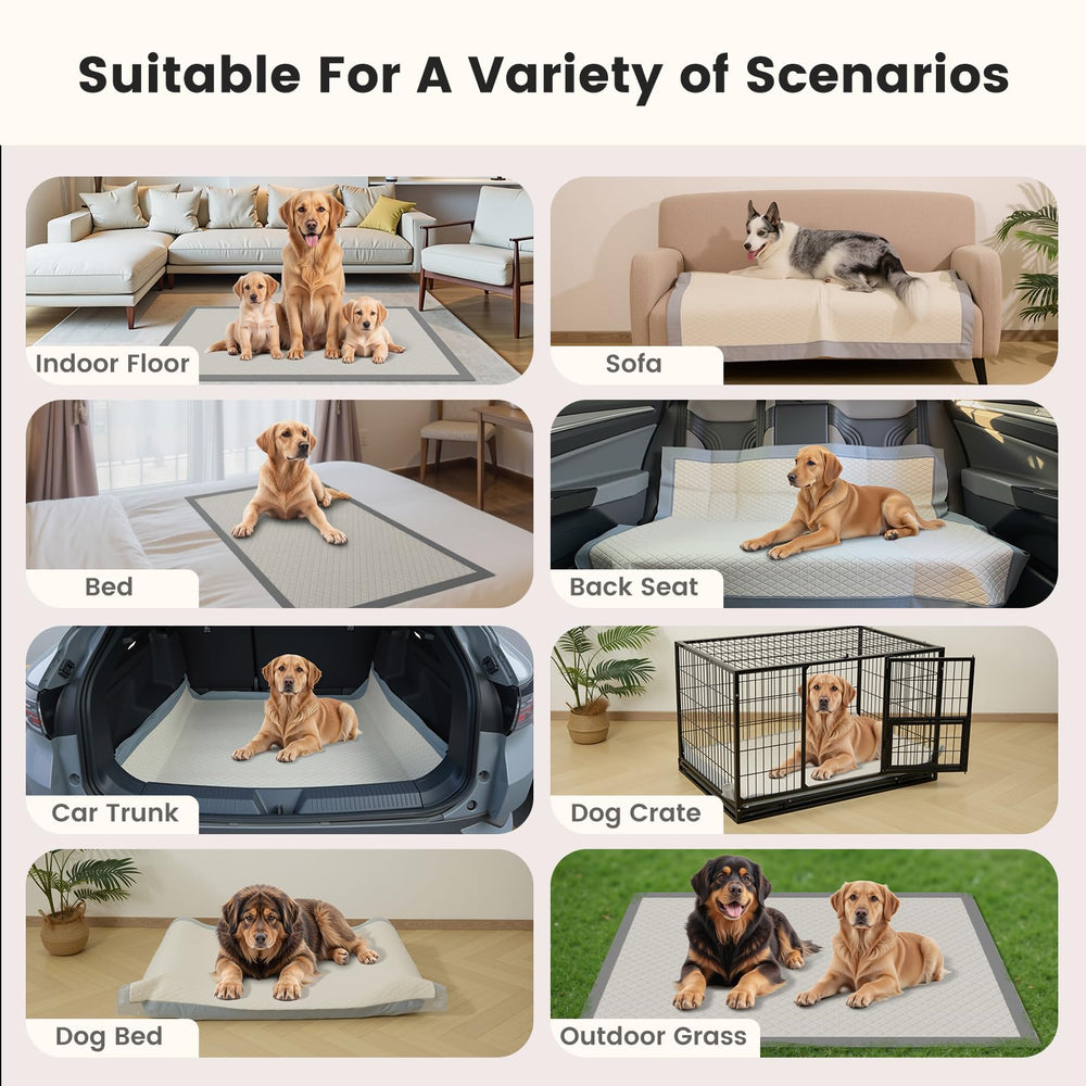 Gardner Pet usos múltiples, ideal para entrenamiento, perros y gatos.