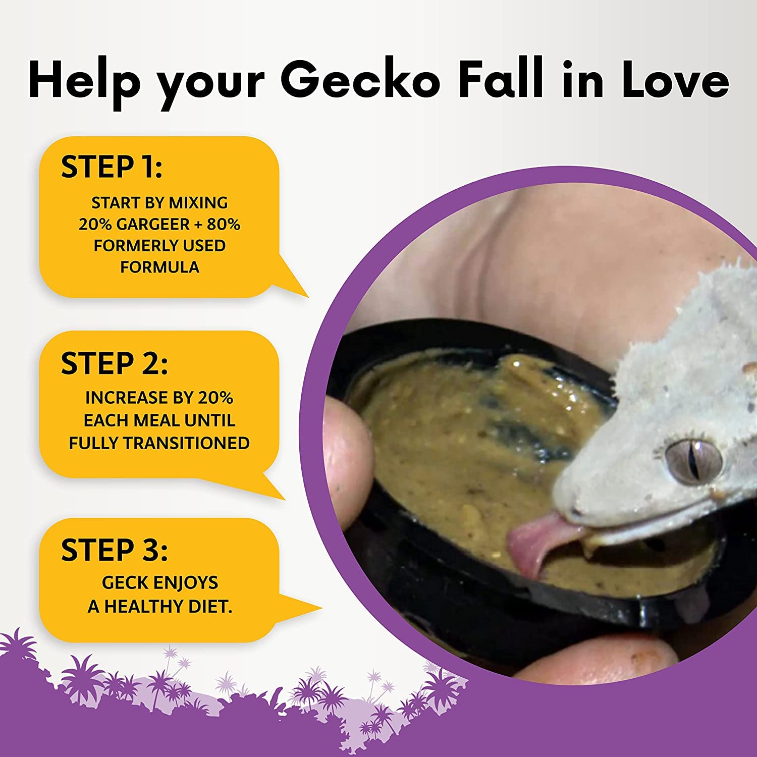 Gargeer mezcla fruta gecko crestado, sabor natural y digestión suave
