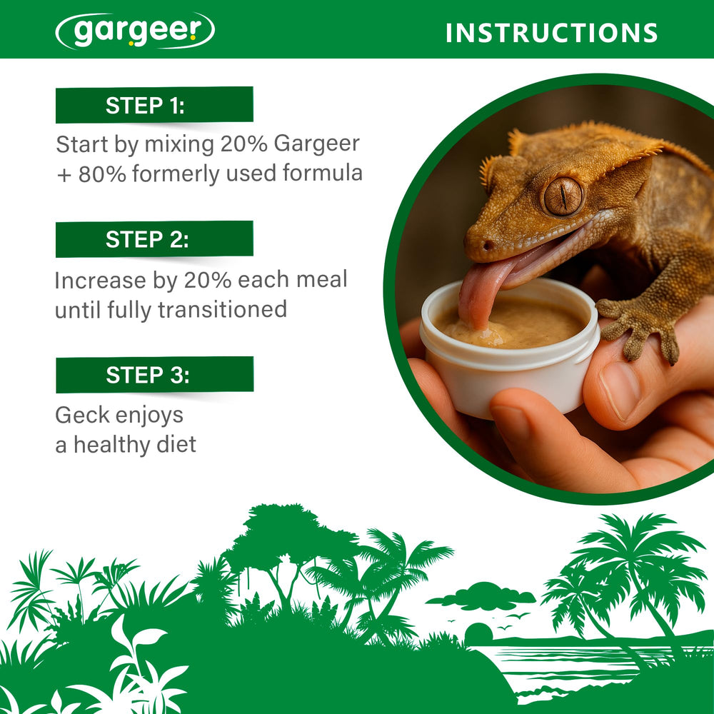 Gargeer Picky Geck Rainforest Mist gecko-comiendo, alta palatabilidad para la ingesta diaria.
