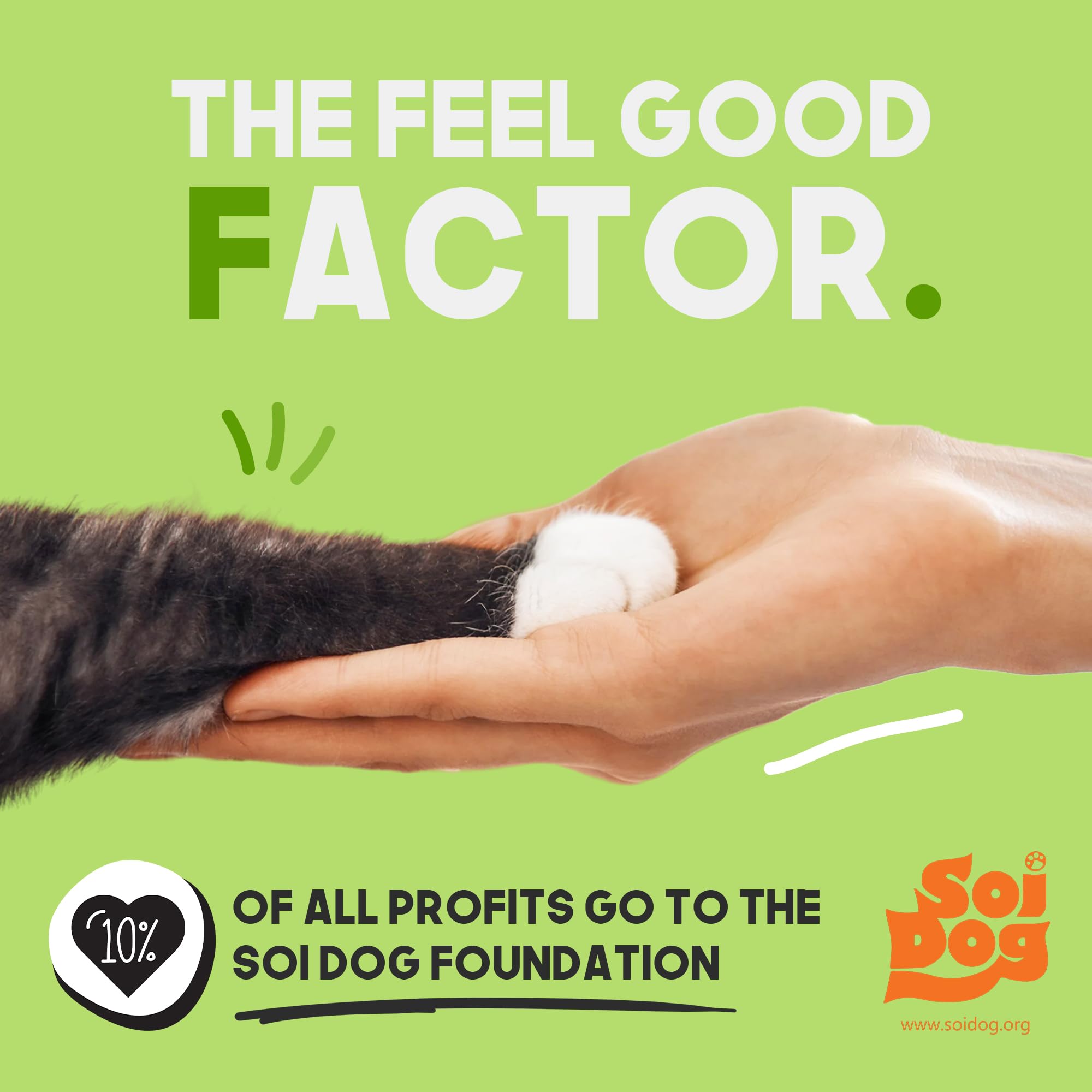 G.A.S compromiso solidario y ambiental, ayuda a animales