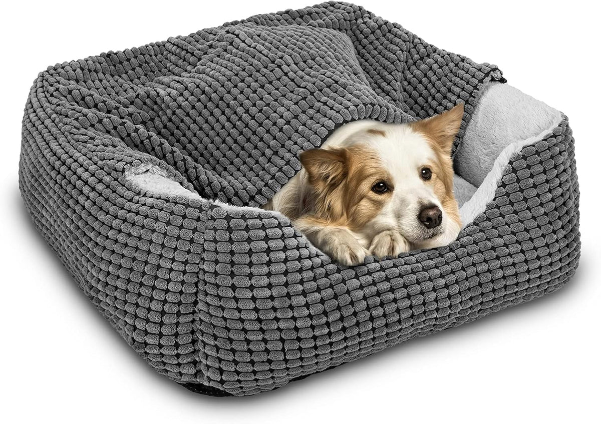 Gasur cama de perros con cueva y manta integrada para descanso cómodo
