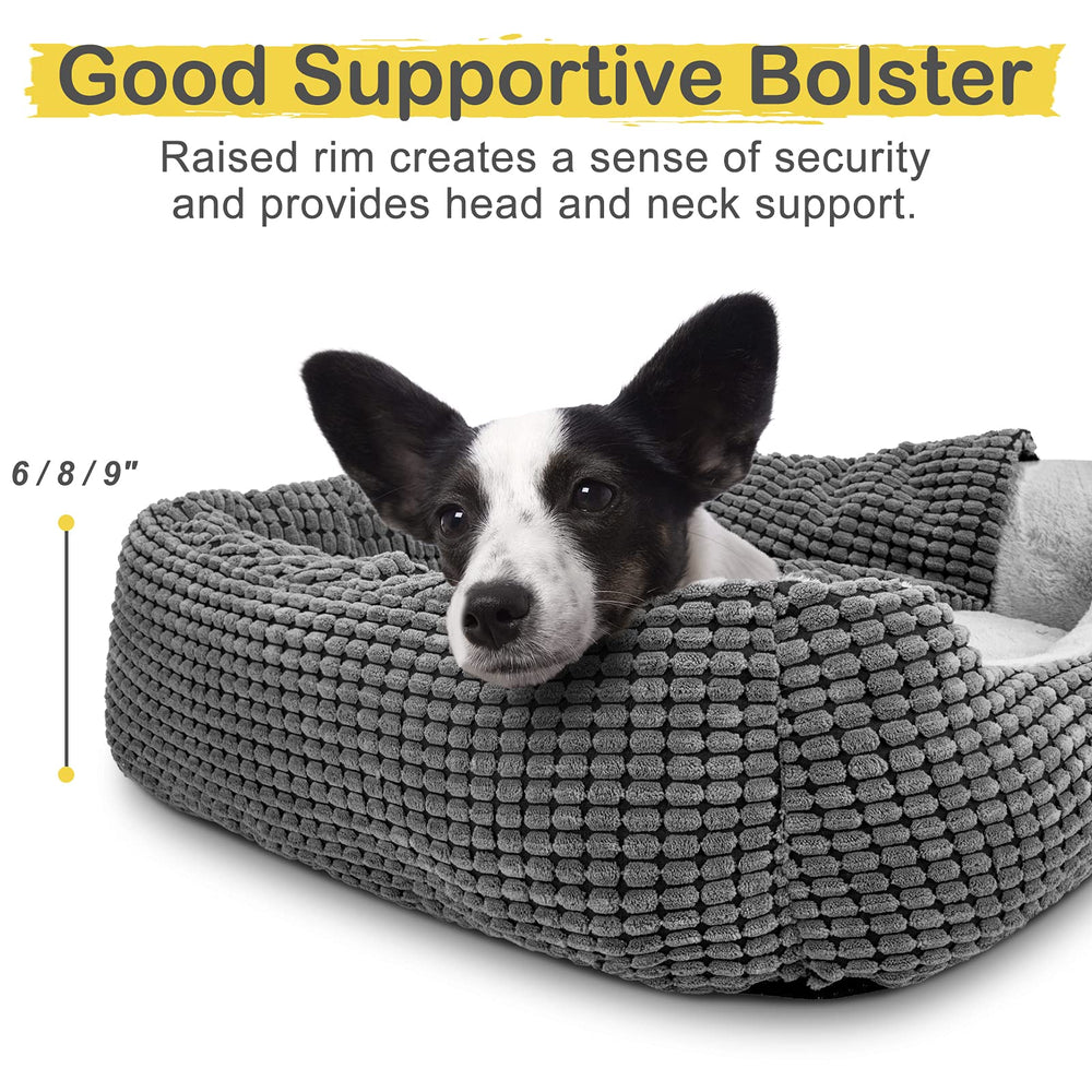 Gasur cama para perros lavable a máquina para cuidado sencillo