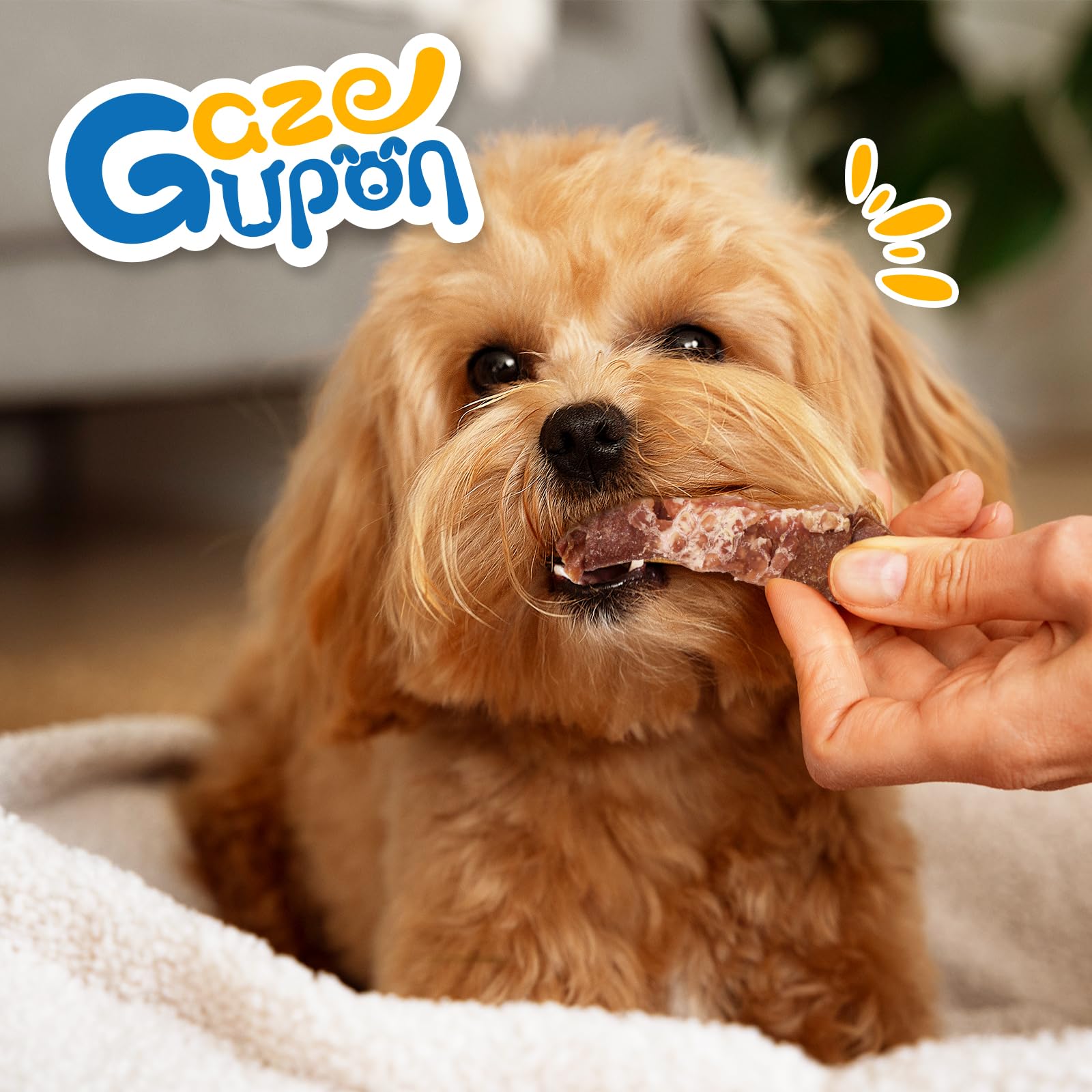 gazeupon snack crujiente aromatico: aroma atractivo para la experiencia de snack.