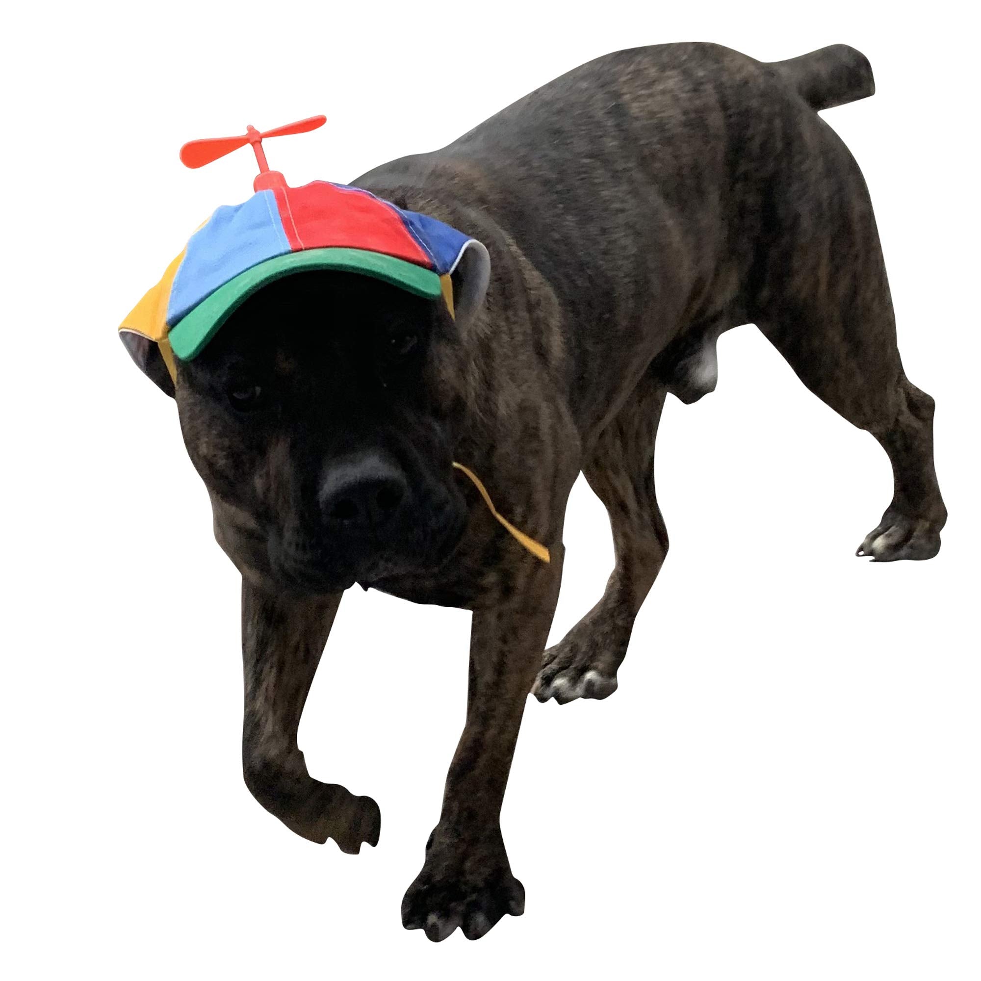 GEANBAYE gorra para perro con ajuste doble y cuerda, mantiene la hélice estable