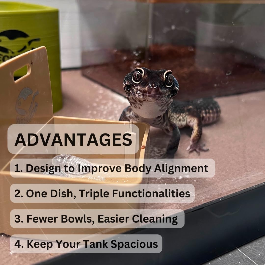 Geckopia Triple Dish Marble, uso para agua, alimento y suplemento en uno.