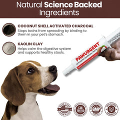 Dosis fácil: mezcla con comida para perros difíciles