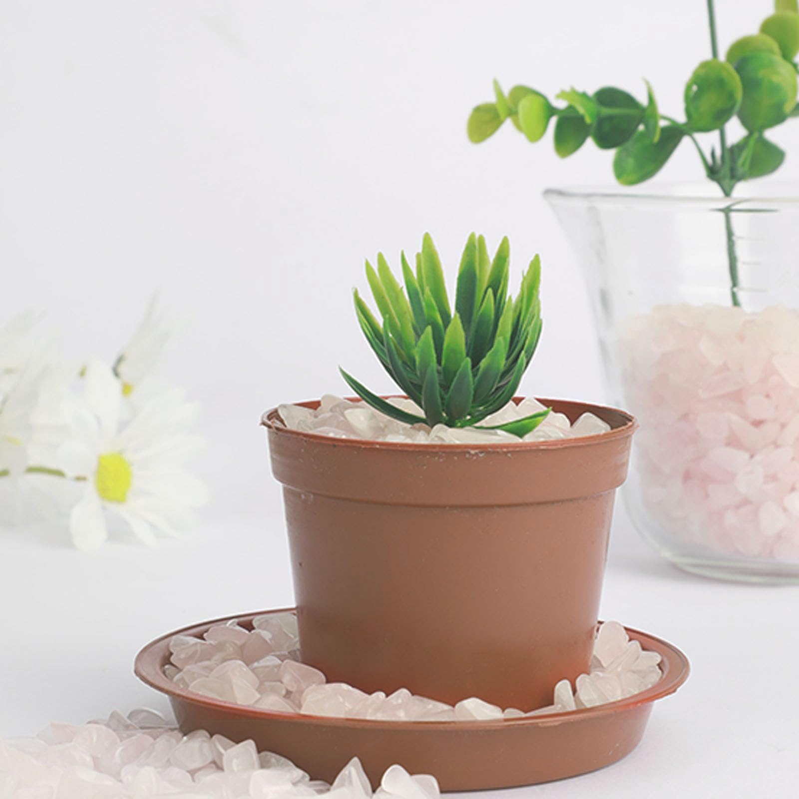 Gemshan uso en plantas y acuarios para realzar la estética natural