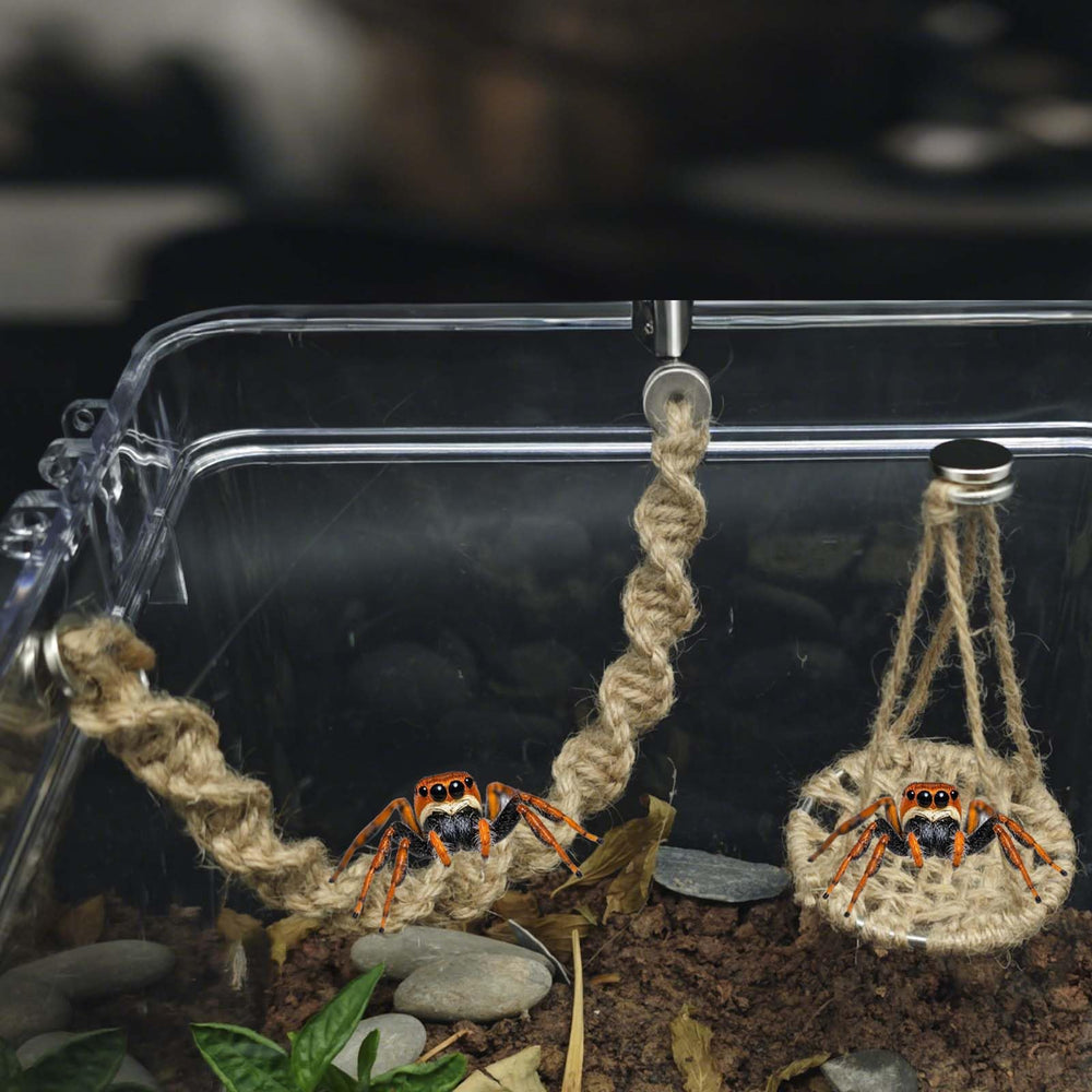 Generic accesorio enriquecimiento terrario - ideal para terrarios dinámicos.