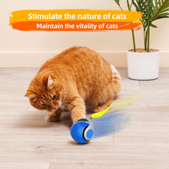 generic bola juguete gato interactivo con cubierta protectora, segura para mordisquear