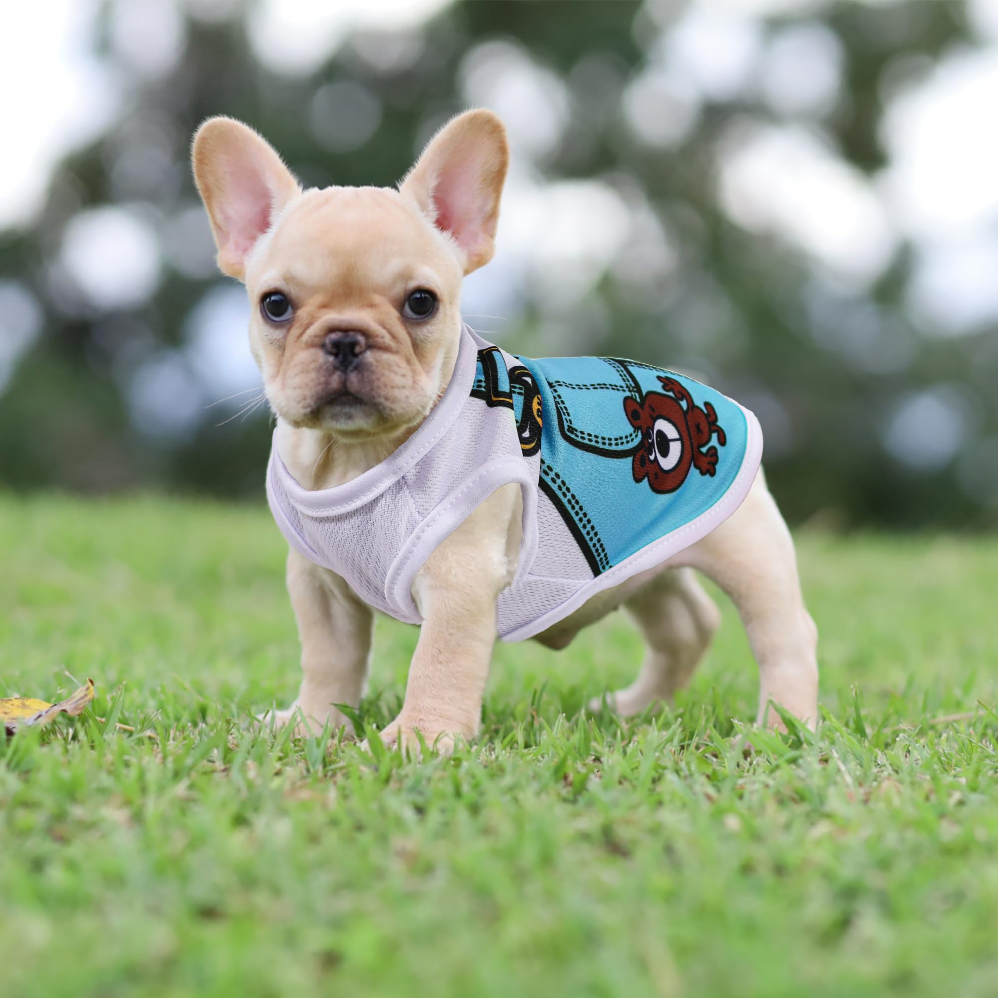Estilo denim en camiseta de malla para perro pequeño, cómoda y ligera, marca Generic.
