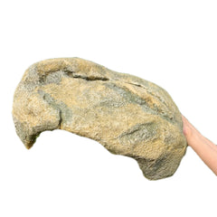 Interior suave del escondite Genérica, ideal refugio cómodo para reptiles.