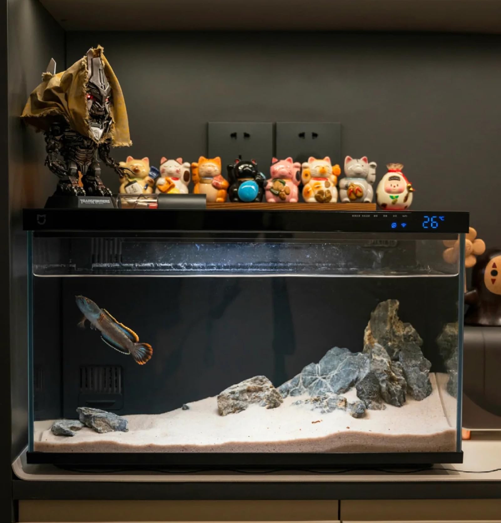 Piedra dragón Seiryu genérica para acuario, decoración y arte de paisaje.