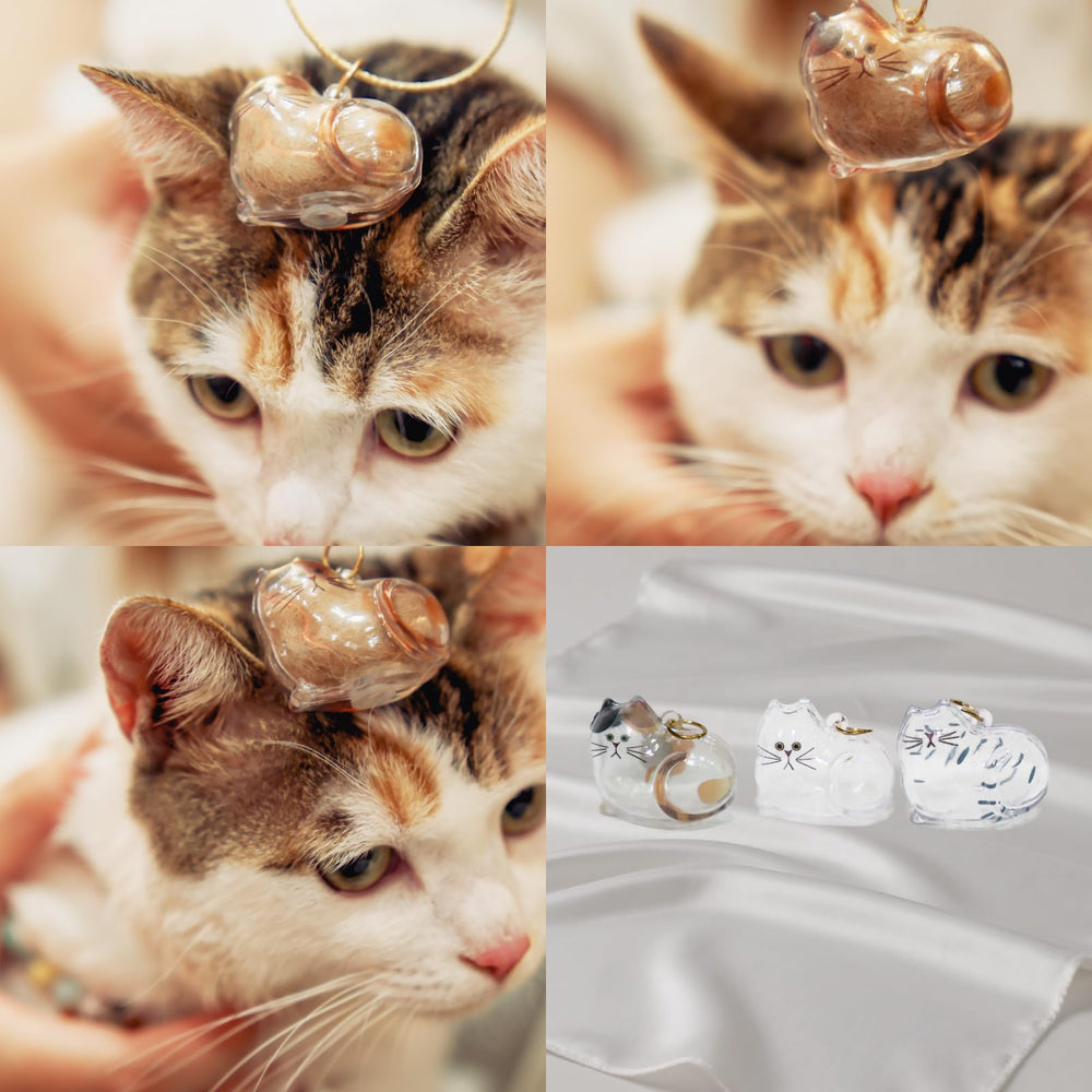 Ideal para hogares con varios gatos y compartir recuerdos.