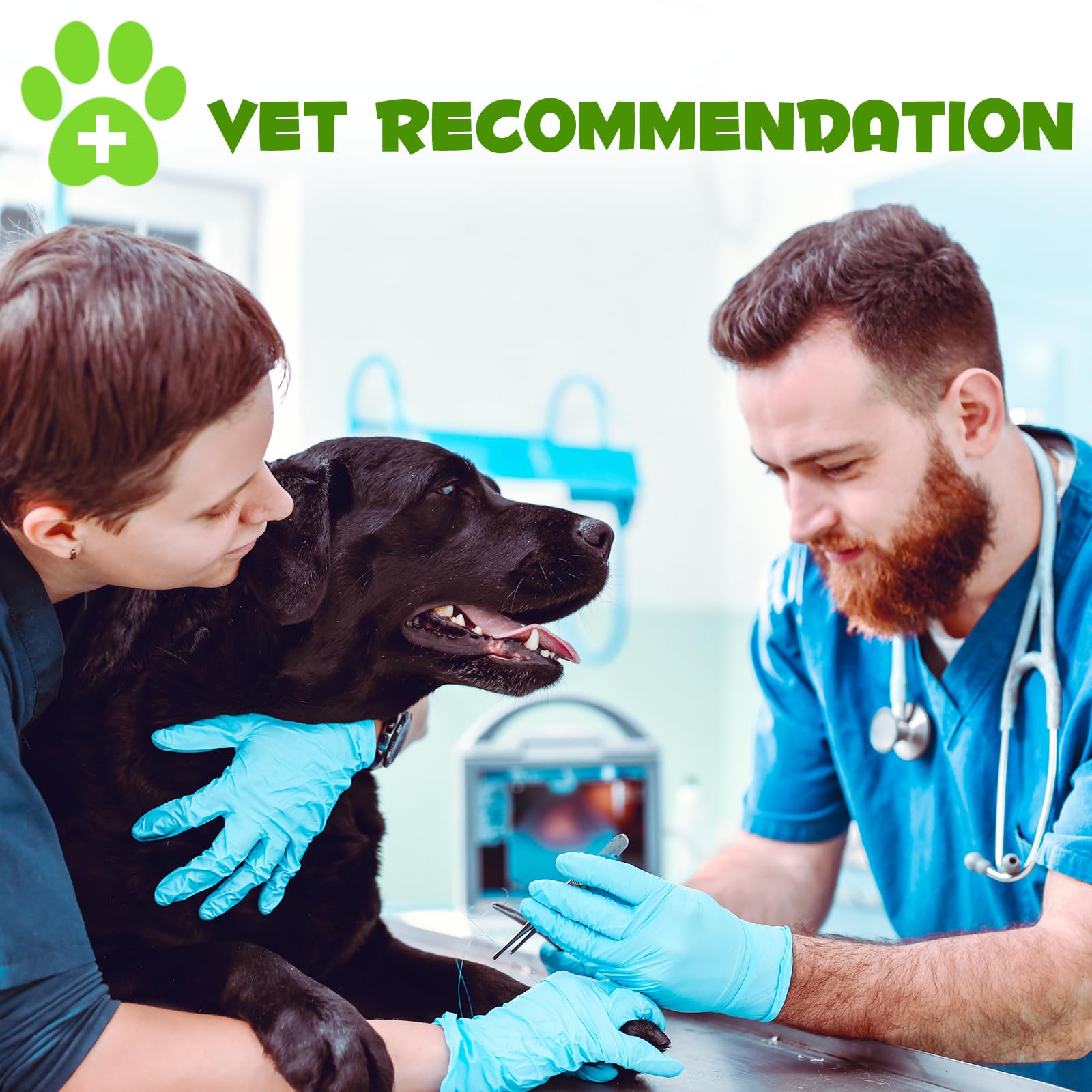 Generic Probiotics para perros, envase seguro y almacenamiento adecuado.