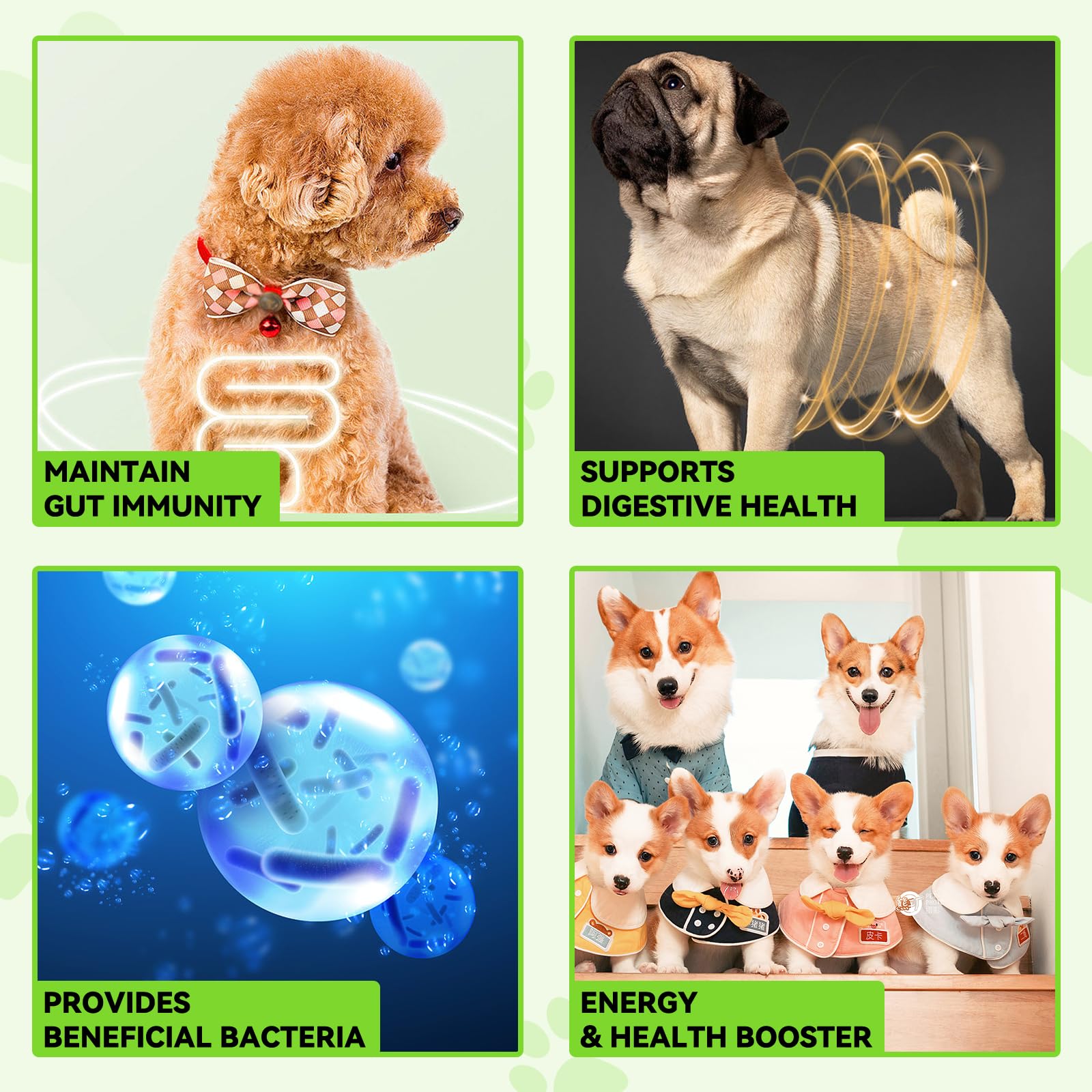 Generic Probiotics para perros, etiqueta con ingredientes naturales visibles.
