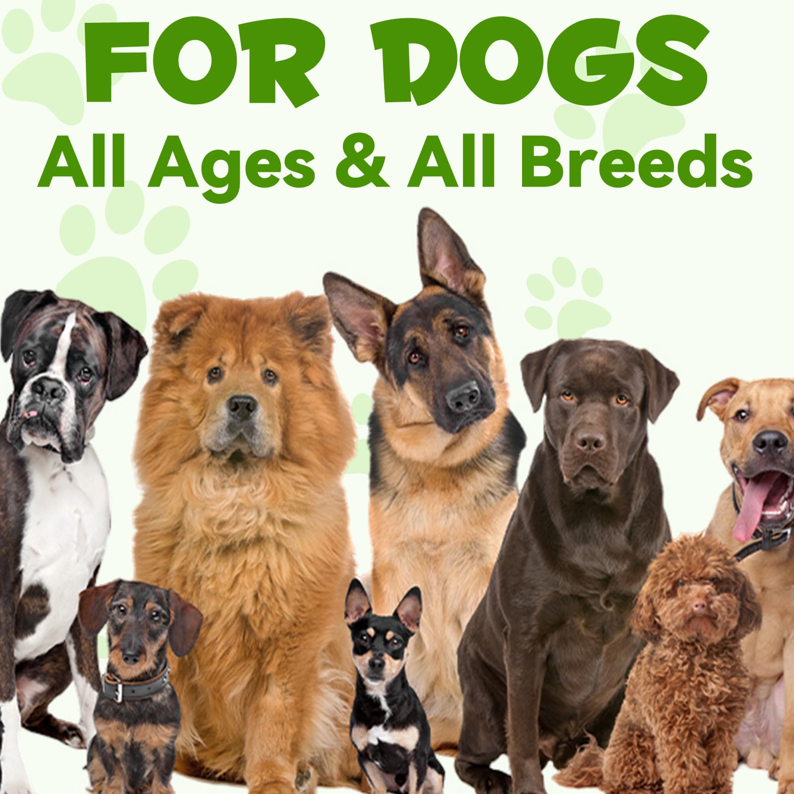 Generic Probiotics para perros, fórmula libre de gluten y soja para alergias.