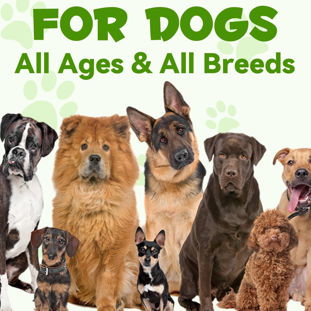 Generic Probiotics para perros, fórmula libre de gluten y soja para alergias.