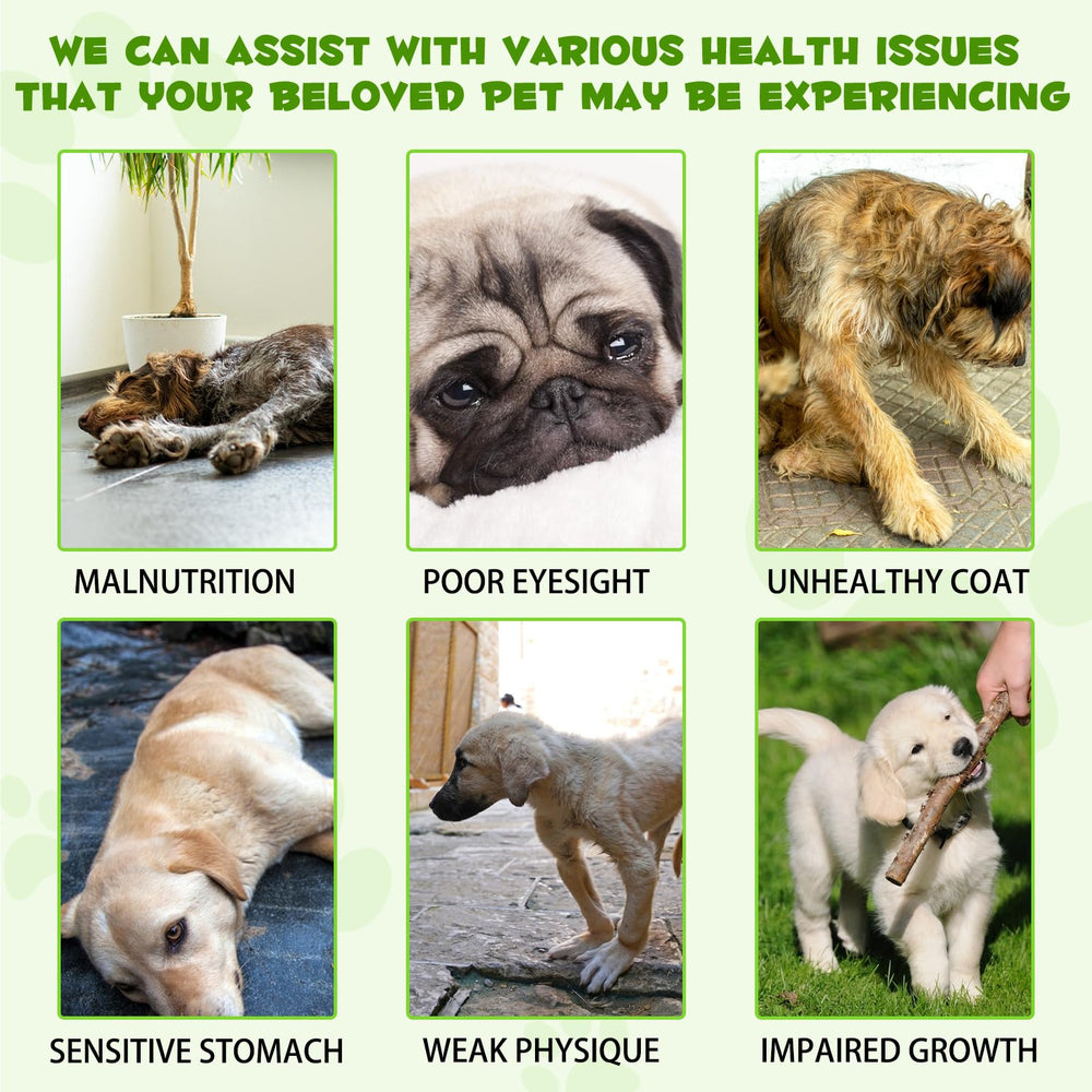 Generic Probiotics para perros, producto listo para mezclar con comida de perros.