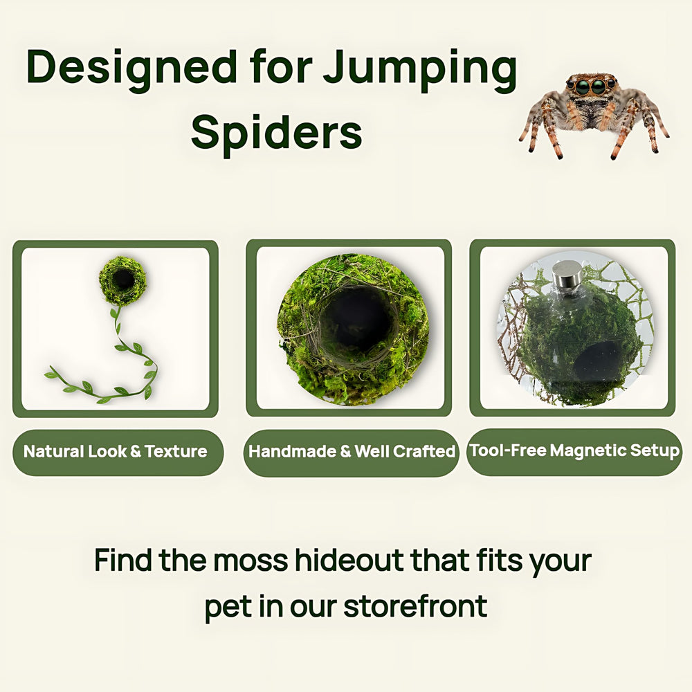 Generic refugio araña saltadora: accesorio terrario natural para refugio cómodo.