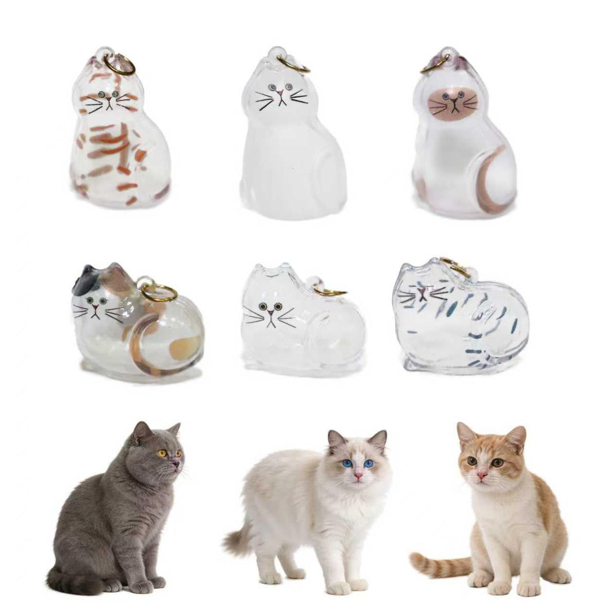 Generic set de 6 llaveros cápsula para pelo de mascota, almacenamiento transparente.