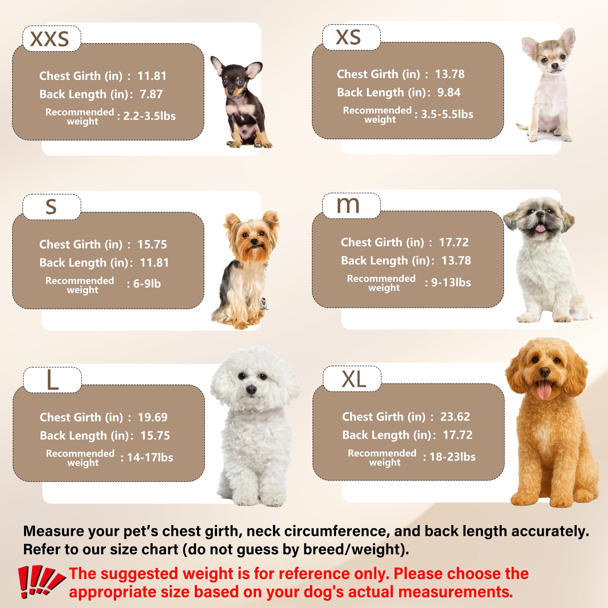 Suéter genérico para uso exterior, ideal para paseos en días fríos.