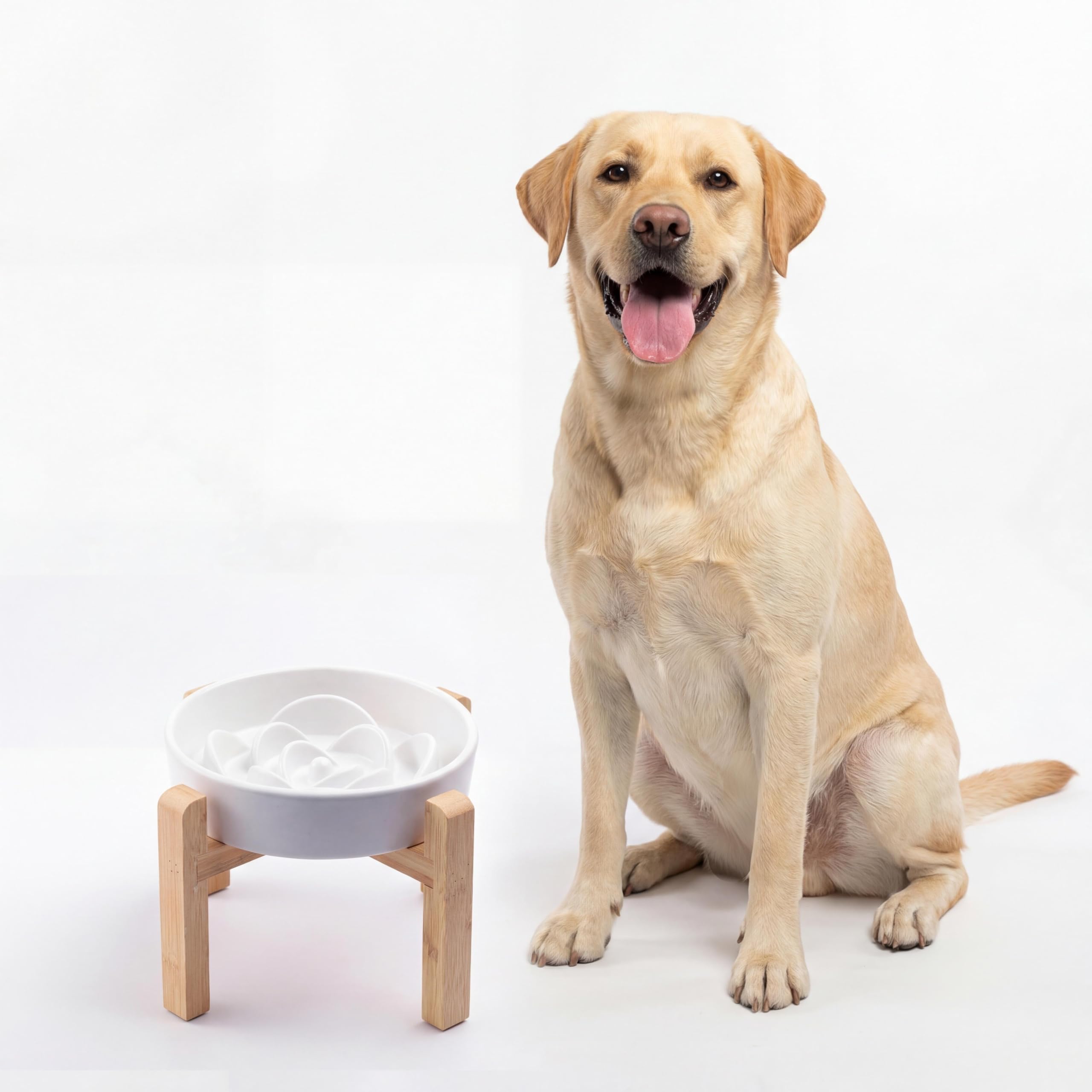 Generic tazon ceramico alimentador lento para perros medianos y grandes
