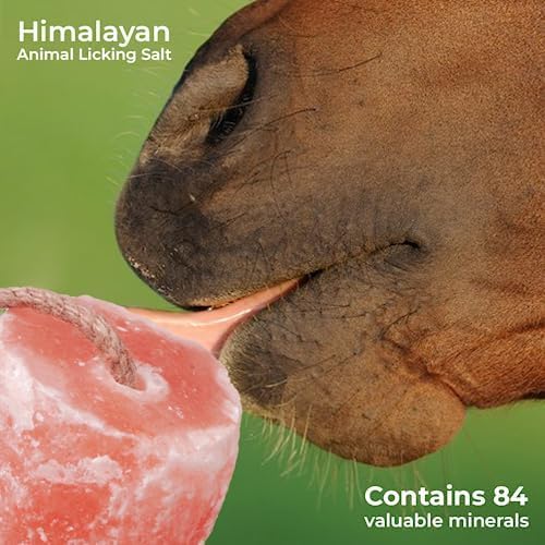 Bloque de sal Himalaya ZK de 2 lb, ideal para suministro mineral diario.