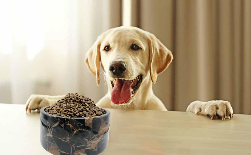 Seguro para mascotas gracias a material no tóxico Portoro