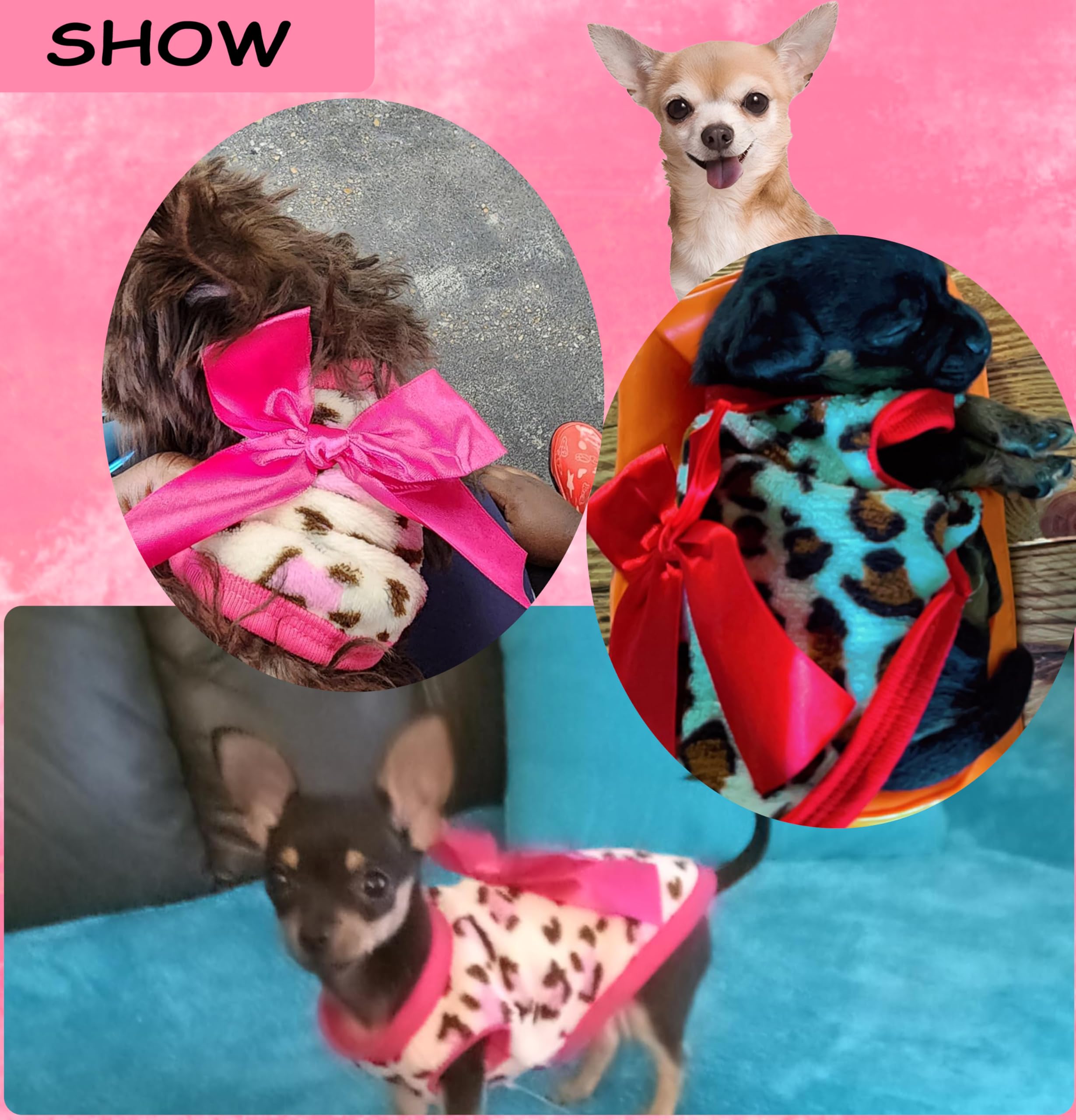 Conjunto genérico de dos sudaderas para perro, cómodo y práctico.
