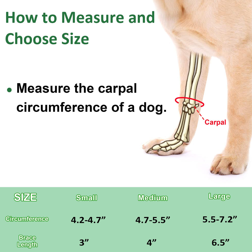 GenetGo muñequera para antebrazo canino, protege contra inflamación y molestias