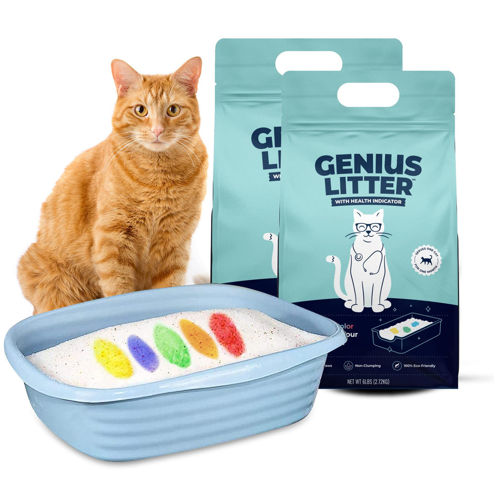 Genius Litter mantiene cajas interiores más limpias y ordenadas.