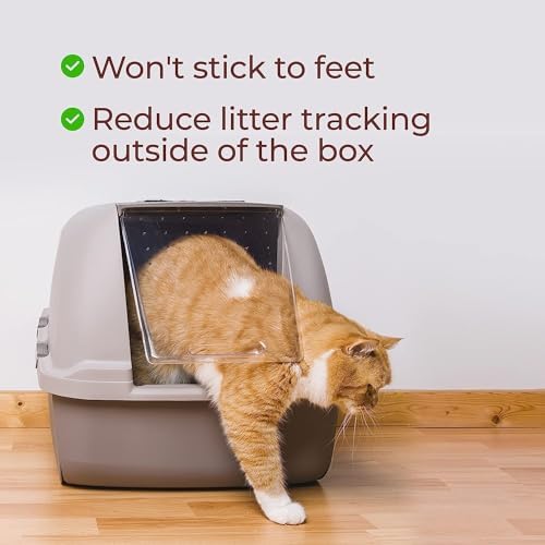 Genius Litter sin polvo para una caja más limpia.