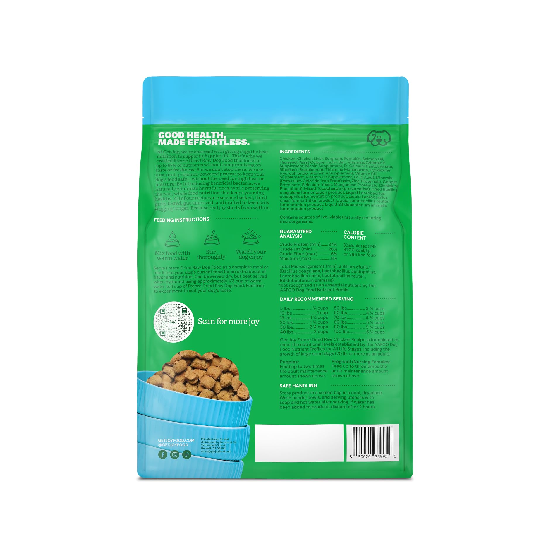 Get Joy perro disfruta en plato, experiencia sabrosa y satisfactoria