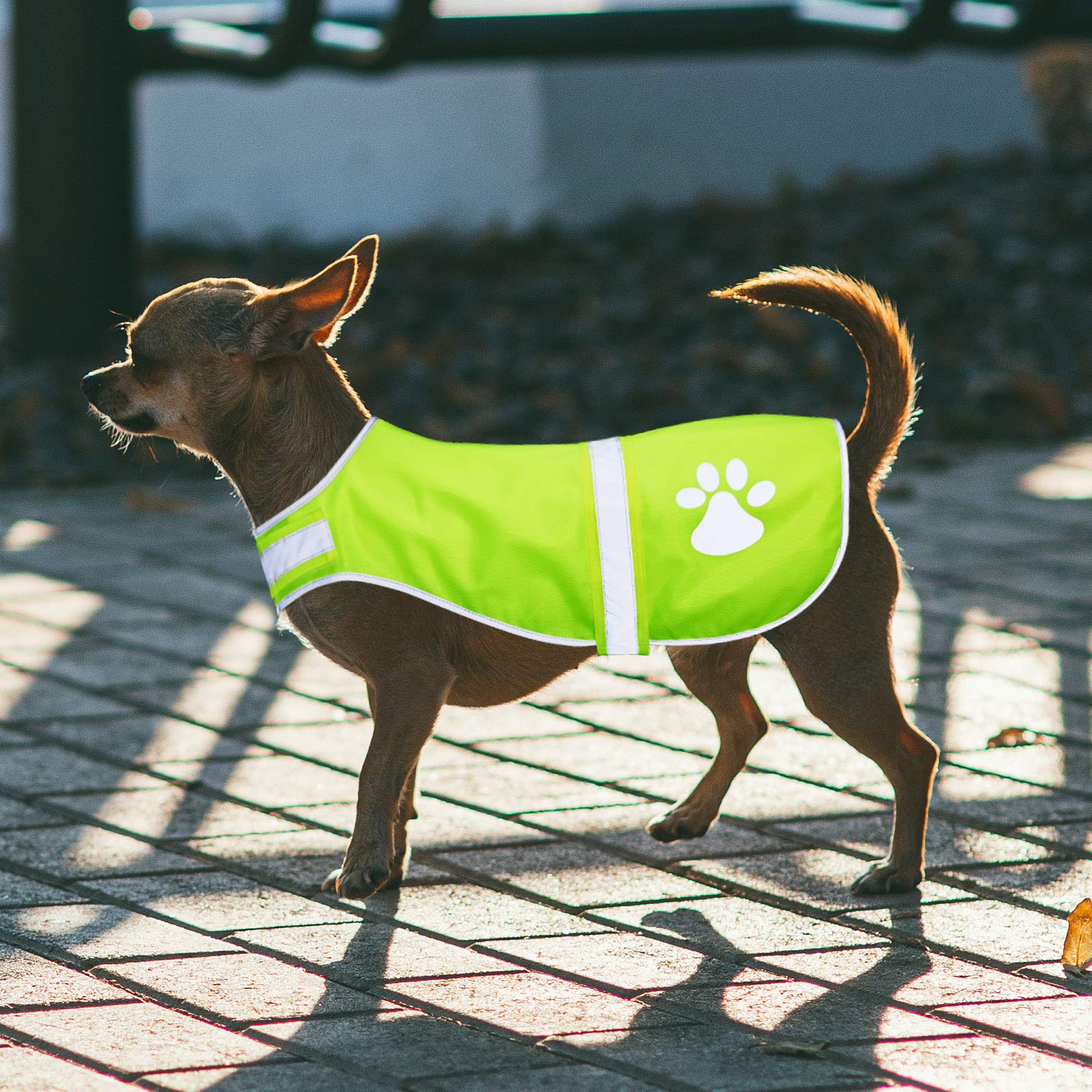 Chaleco fácil de poner con ajuste cómodo para perros.