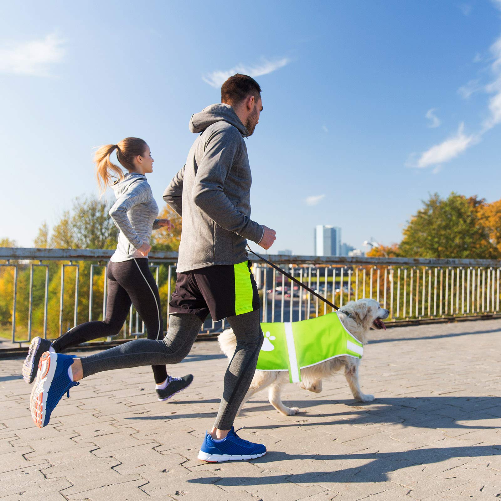 Geyoga chaleco para perro con visibilidad nocturna para paseos seguros