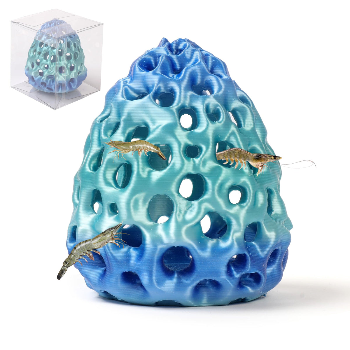 GFThreeD Cueva para camarones con ventosas: fijación estable para observar sin molestar.